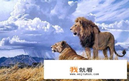 麒麟是狮子吗？