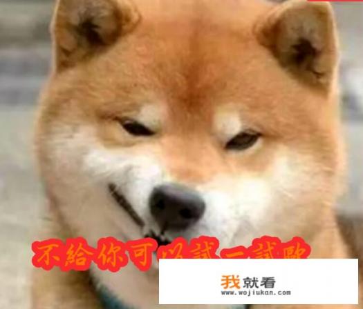 现在有好多网络乞丐，每天厚着脸皮管我要游戏皮肤，该怎么办？