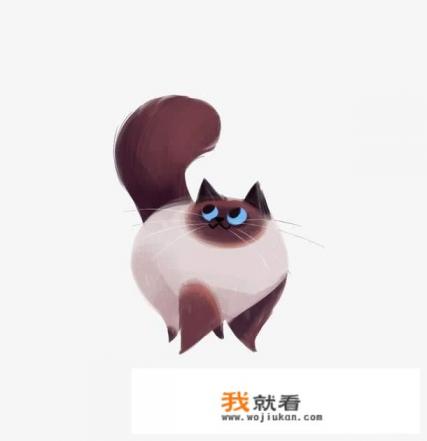 《甄嬛传》为什么走红？