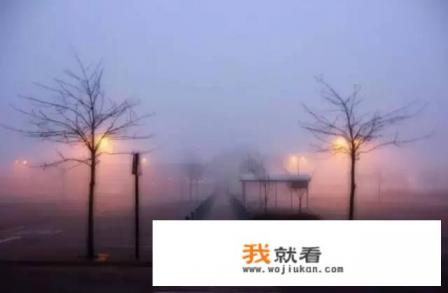 主角是靳深和于琴琴的重生小说名字？