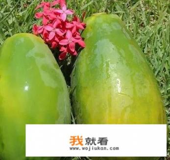 木瓜怎么样催熟？