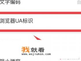 怎么在网页进入我的电脑？