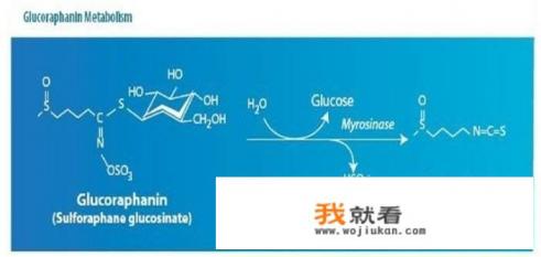 经常吃菜籽油好吗？
