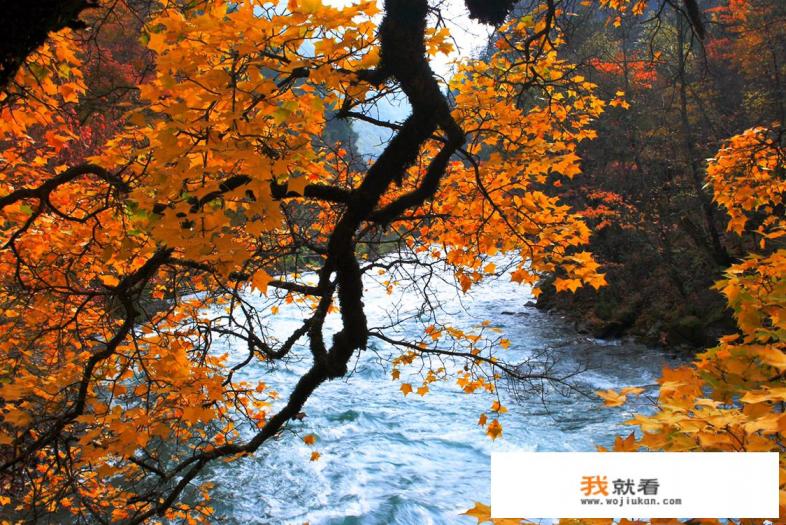 请问毕棚沟和米亚罗的红叶观赏期是什么时候？