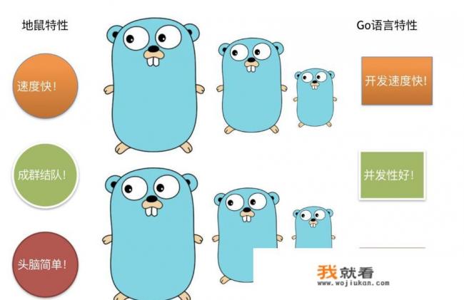 C/C++的人转Go都说很爽，Java转Go的人，觉得有时候写的很别扭，为啥？