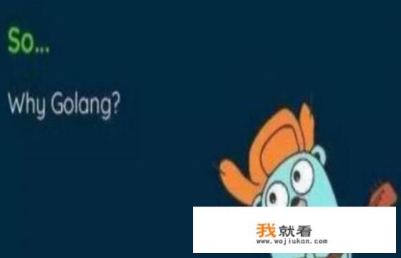 C/C++的人转Go都说很爽，Java转Go的人，觉得有时候写的很别扭，为啥？