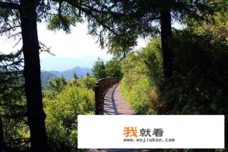 石家庄附近不爬山的旅游景点？