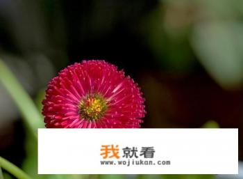 空间相册名称、唯美、优雅一点的？
