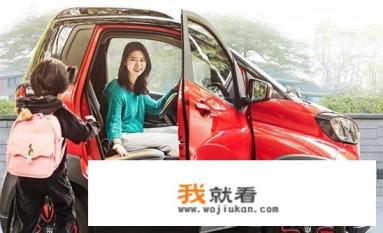 国内最小的电动汽车？