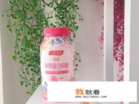 哪些食物富含胶原蛋白？