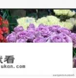 花图片怎么可以播放整首歌？