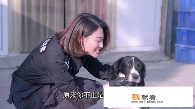 能否推荐几部好看的军旅题材电视剧？