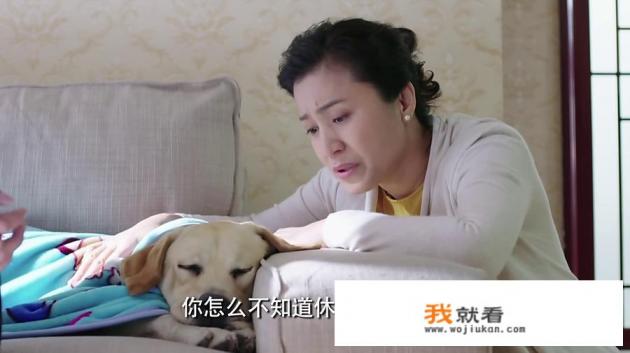 能否推荐几部好看的军旅题材电视剧？