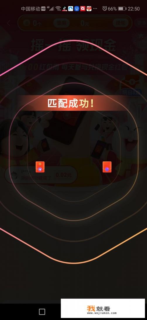槟榔树和棕榈树的区别？