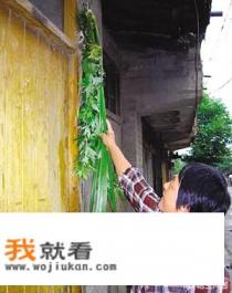 我们的节日端午节手抄报？