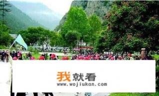 报旅游团一般去什么网站？