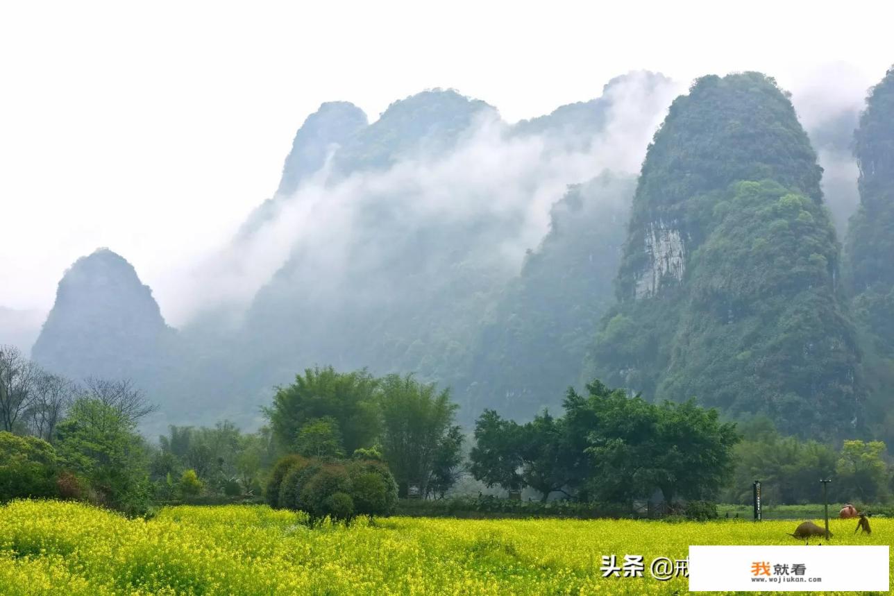 又到了赏油菜花的季节，如何才能拍出美美的照片？