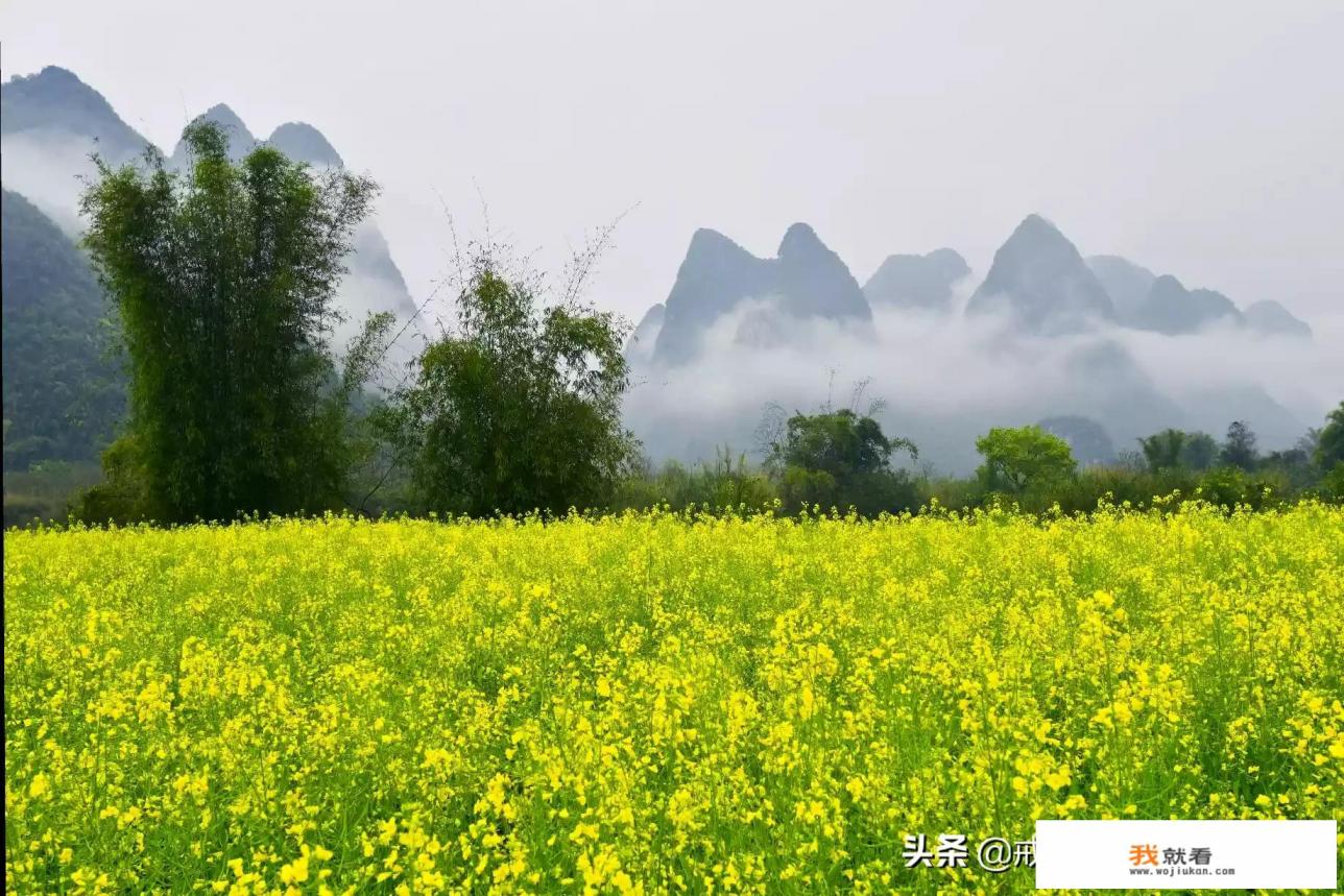 又到了赏油菜花的季节，如何才能拍出美美的照片？