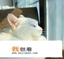 有没有哪个演员出道饰演反派让你觉得讨厌无感,但是后来却因为某个原因喜欢上这个演员? 有没有哪个演员出道饰演反派让你觉得讨厌无感,但是后来却因为某个原因喜欢上这个演员?