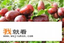 新疆特产干果有哪些? 新疆特产干果有哪些?