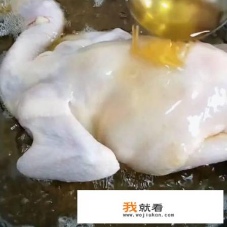 整鸡怎么炖好吃又嫩? 整鸡怎么炖好吃又嫩?