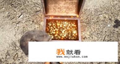 要是在海盗游戏《ATLAS》中成为金币大户,能成为统领一方的强者吗? 要是在海盗游戏《ATLAS》中成为金币大户,能成为统领一方的强者吗?