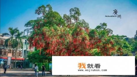 广州有哪些好玩的地方和漂亮的风景? 广州有哪些好玩的地方和漂亮的风景?