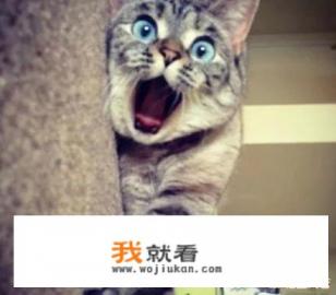 广东清远的佛冈森波拉酒店怎么样? 广东清远的佛冈森波拉酒店怎么样?