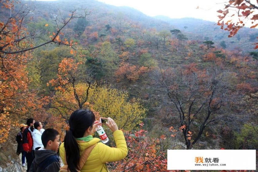 出去旅游,自驾游和跟团游哪个比较好?为什么? 出去旅游,自驾游和跟团游哪个比较好?为什么?