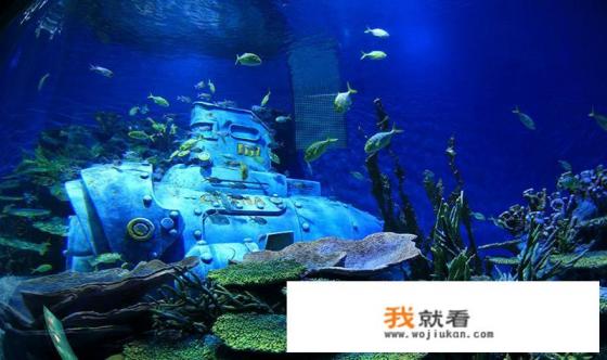 上海经济实惠的儿童乐园? 上海经济实惠的儿童乐园?