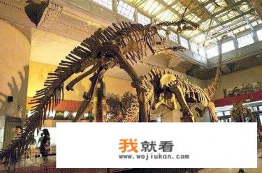上海经济实惠的儿童乐园? 上海经济实惠的儿童乐园?