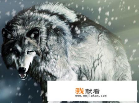 你觉得《狼图腾》这个电影怎么样？
