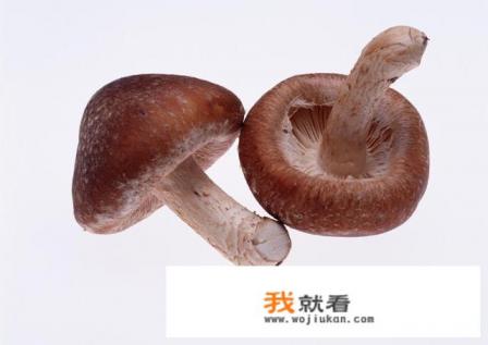 有个亲哥哥是什么样的感觉? 有个亲哥哥是什么样的感觉?