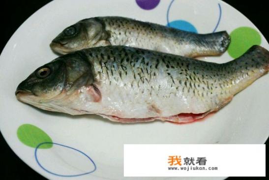 鲫鱼炖汤做法? 鲫鱼炖汤做法?