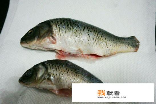 鲫鱼炖汤做法? 鲫鱼炖汤做法?