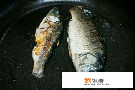 鲫鱼炖汤做法? 鲫鱼炖汤做法?