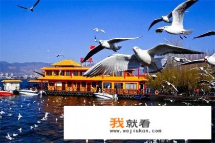 从成都出发去昆明,大理,丽江,香格里拉,有什么路线建议和攻略? 从成都出发去昆明,大理,丽江,香格里拉,有什么路线建议和攻略?