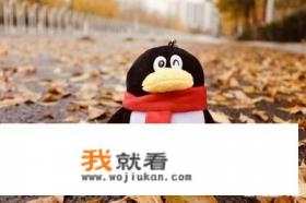 QQ群广场怎么玩?QQ群论坛怎么发帖? QQ群广场怎么玩?QQ群论坛怎么发帖?