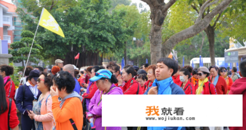 想去旅游怎么报团? 想去旅游怎么报团?