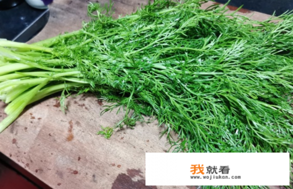 茴香菜怎么做菜？