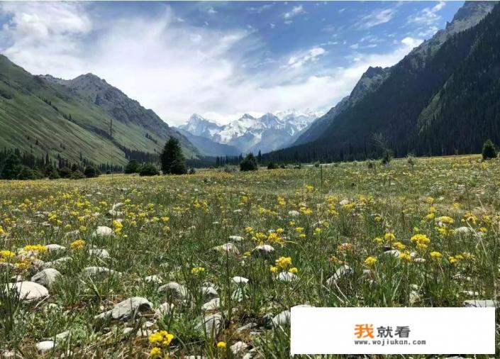 蜂蜜哪些品牌好? 蜂蜜哪些品牌好?