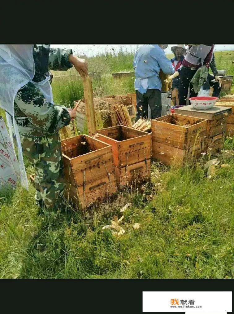蜂蜜哪些品牌好? 蜂蜜哪些品牌好?