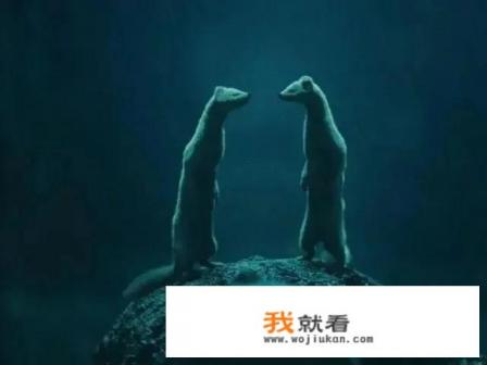 “鬼吹灯”系列小说到底有多少部?先后顺序怎么排列? “鬼吹灯”系列小说到底有多少部?先后顺序怎么排列?