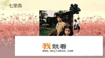 七里香歌词有七里香三个字吗? 七里香歌词有七里香三个字吗?