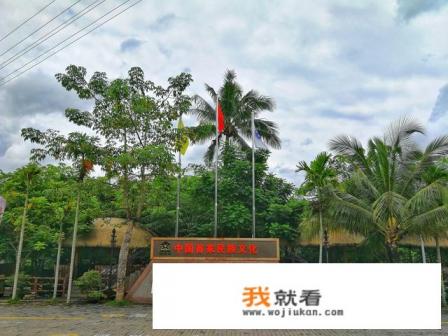 海南岛上的黎族人现在还盛行文身吗? 海南岛上的黎族人现在还盛行文身吗?