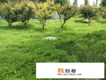 农村空气新鲜,吃有机食品,喝天然矿泉水,生活悠闲自在,为什么大家都往城市里挤? 农村空气新鲜,吃有机食品,喝天然矿泉水,生活悠闲自在,为什么大家都往城市里挤?