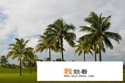 三亚带什么特产好? 三亚带什么特产好?