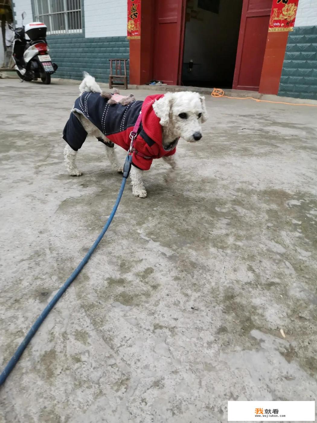 音效震撼的恐怖电影有哪些? 音效震撼的恐怖电影有哪些?