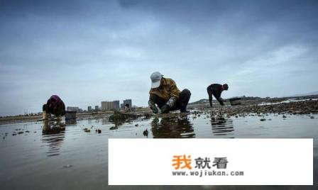 一家人去鲅鱼圈玩三天有吃住行攻略推荐吗? 一家人去鲅鱼圈玩三天有吃住行攻略推荐吗?