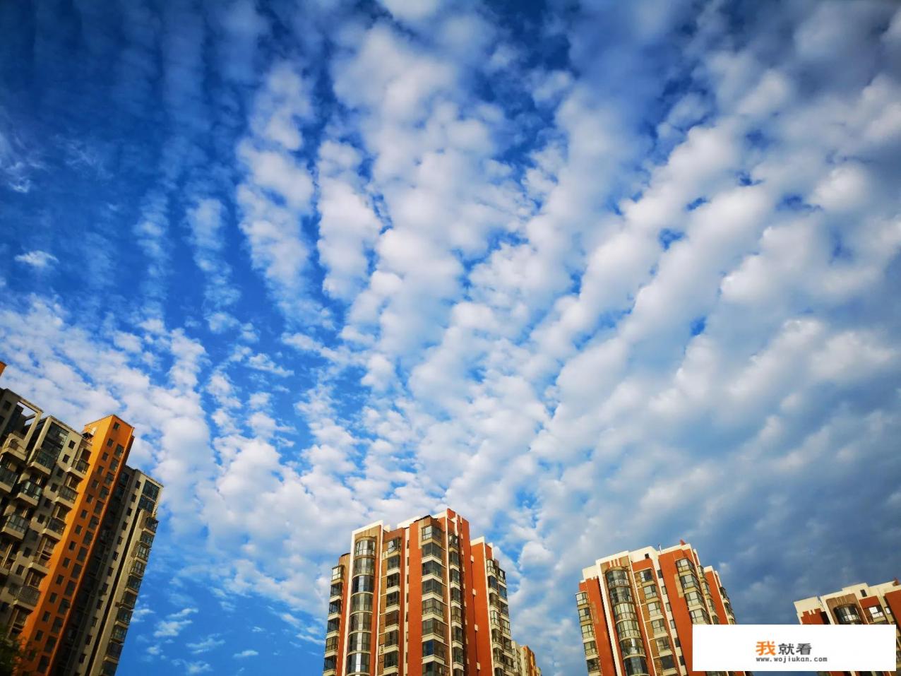 你看到过“地震云”样子的云彩吗? 你看到过“地震云”样子的云彩吗?